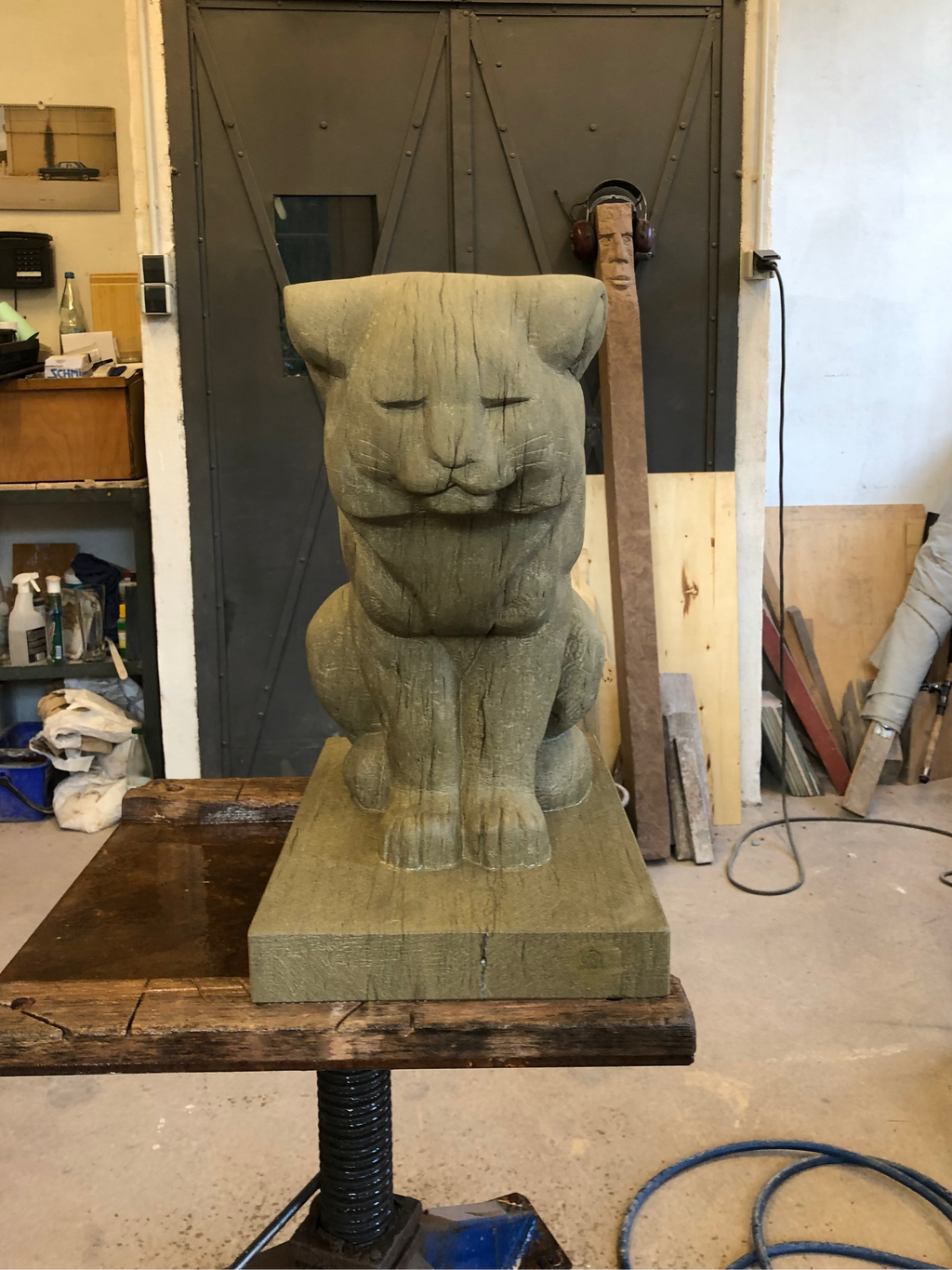 Katze
