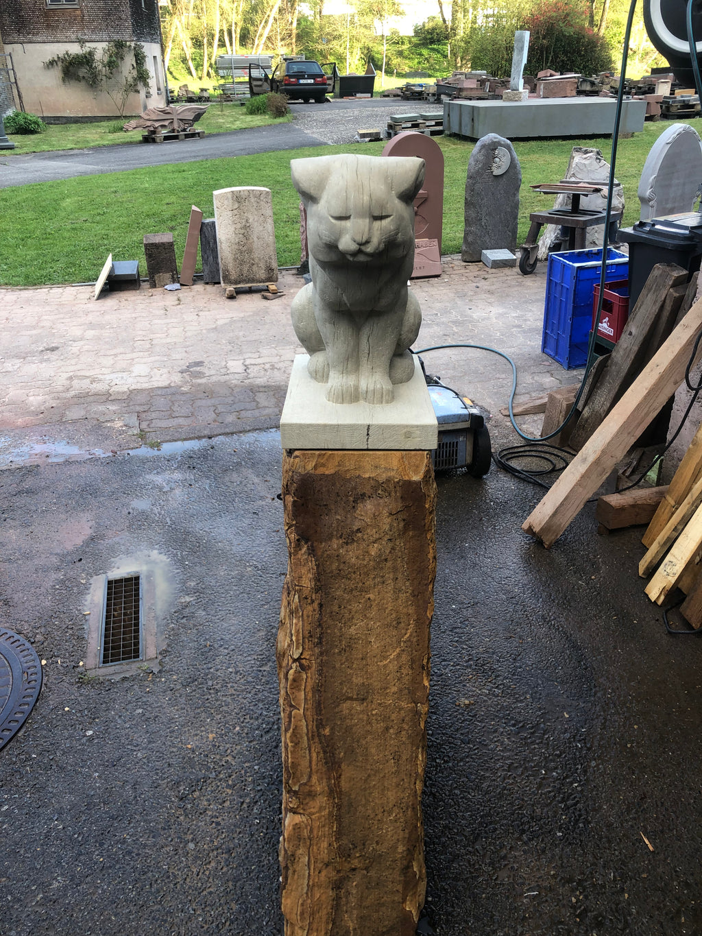 Katze